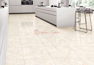 Gạch Ốp Lát APODIO 66282018